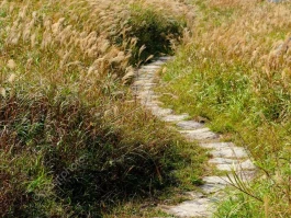 UiPath (PATH) Stock: Why the AI Buzz Is Just the Beginning